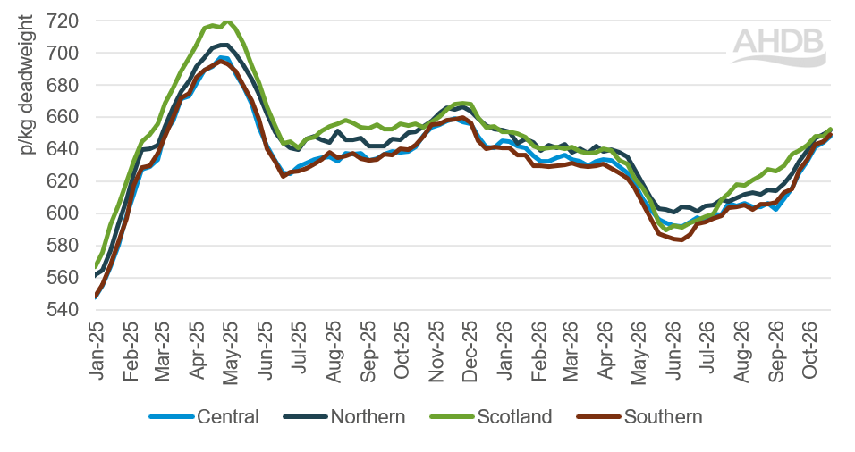 Weekly deadweight steer prices by region of GB, 2025-2026 in p/kg.